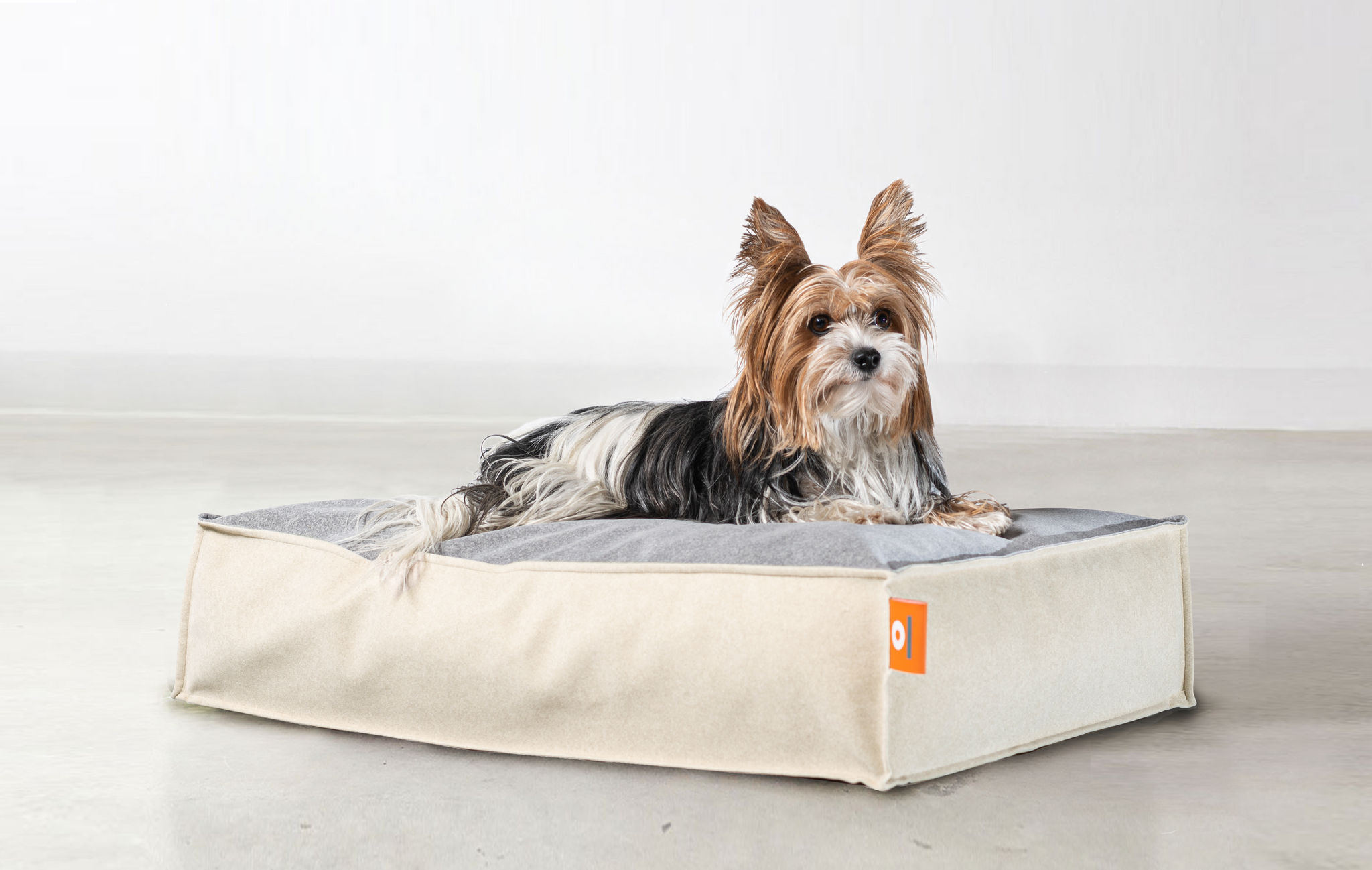 design-lounge-hundebett-gesund