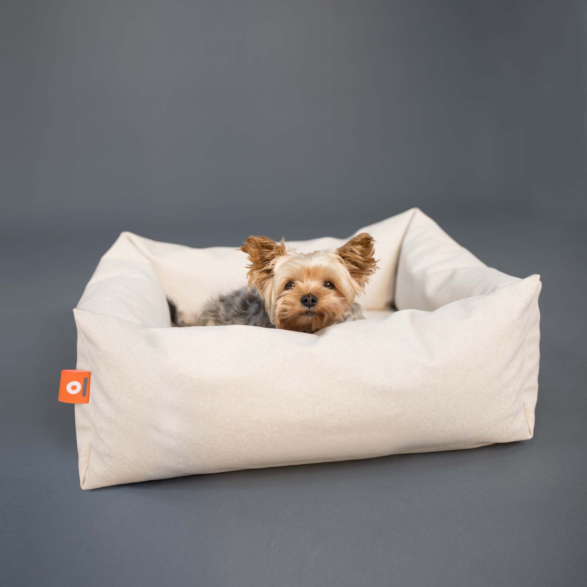 kuscheliges-hundebett-mit-yorki