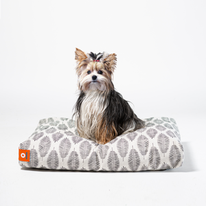 elegantes-hunde-lounge-kissen-stylisch